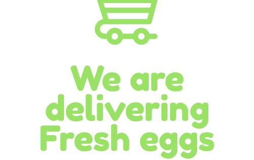 Siva Egg Centre | Grocery & Supermarket Online Delivery in Colombo, Colombo